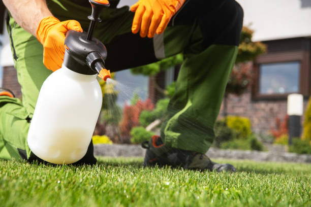Best Best Pest Control Companies  in Livingston, TX