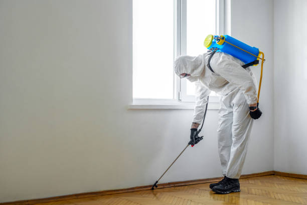Best Affordable Pest Control Services  in Livingston, TX