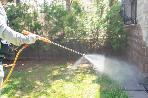 Best Rat Extermination Near Me  in Livingston, TX