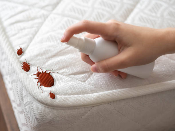 Best Pest Inspection Near Me  in Livingston, TX
