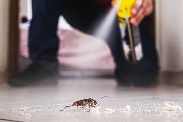Trusted Livingston, TX Pest Control Experts