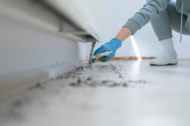 Best Pest Removal Services  in Livingston, TX